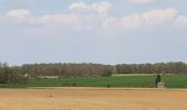 Tour Mountainbike Walcourt - Balade dans l'entité de Walcourt  - Photo 9