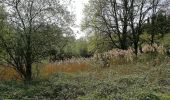 Tocht Stappen Blegny - Petite balade dans le terrain derrière la caserne - Photo 3