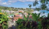 Excursión Senderismo Le Lorrain - Boucle Vallon - Morne-Bois - Seguineau - Photo 11