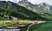 Percorso A piedi Surses - Julier, La Veduta-Furcia Grevasalvas-Plaun da Lej - Photo 2