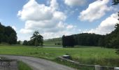 Excursión A pie Clavier - Les Avins château du Houyoux - Photo 2