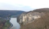 Tour Wandern Dinant - La promenade de freyr. - Photo 11