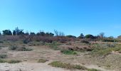 Tocht Stappen Sainte-Marie-la-Mer - sainte marie la mer - village et plage  - Photo 12