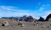 Excursión Ruta Salazie - piton des neige par cap anglais - Photo 8