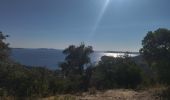 Tocht Hybride fiets Rayol-Canadel-sur-Mer - Vélo le col du Canadel et Parc de Port Cros - Photo 2