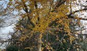 Tour Wandern Le Chesnay-Rocquencourt - Arboretum de Chevreloup - Photo 7