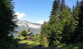Trail Walking Arâches-la-Frasse - Boucle les Carroz Pointe de Cupoire - Photo 10
