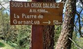 Trail Walking Albiez-le-Jeune - croix d Albiez - crête de Lacha - Photo 2