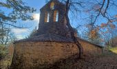 Randonnée Marche Mirabeau - MALIJAI  . CHAPELLE S CHRISTOL . CHAPELLE S PHILIPPE . RAVIN DES SAUVEES N - Photo 7