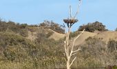 Tour Wandern San Bartolomé de Tirajana - Les dunes de Maspalomas (Gran Canaria) - Photo 2