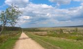 Trail Walking Waimes - baraque michel - botrange via fagne de polleur, retour via fagne wallonne  - Photo 9