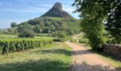 Trail Walking Solutré-Pouilly - Roche de Solutré - Photo 3