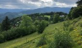 Tour Wandern Münster im Elsass - Tour vallée munster  - Photo 2