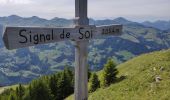 Trail Walking Val-d'Illiez - lac de soi par signal de soi - Photo 2