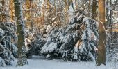 Tour Zu Fuß Unbekannt - Wanderweg 5 - Photo 2