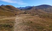 Trail Walking Besse - Plateau d'Emparis - Photo 1