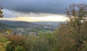 Randonnée Marche Échenoz-la-Méline - Petit tour plateau cita  - Photo 1