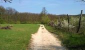 Trail On foot Nagykovácsi - Z▲ (Széltörés-erdő - Fekete-hegyek - Biatorbágy vá.) - Photo 8