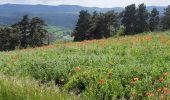 Trail Electric bike Le Puy-en-Velay - 160522 - Photo 2