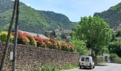 Randonnée Marche Massegros Causses Gorges - Au long du Tarn : Des Vignes à Mostuéjouls - Photo 1