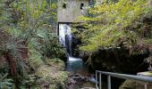 Tour Wandern Baztan - Infernuko errota - le moulin de l'enfer 2024/02/20. - Photo 5