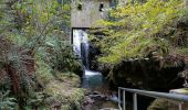 Trail Walking Baztan - Infernuko errota - le moulin de l'enfer 2024/02/20. - Photo 5