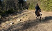 Trail Horseback riding Habay - Marbehan côté Thibessart - Photo 11