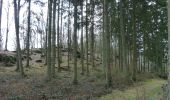 Tocht Te voet La Roche-en-Ardenne - 1.Crestelles - Photo 1