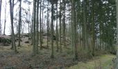 Tour Zu Fuß La Roche-en-Ardenne - 1.Crestelles - Photo 1