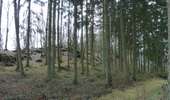 Trail On foot La Roche-en-Ardenne - 1. Crestelles - Photo 10