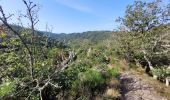 Tour Wandern Hohenfels - rando nadrin 10-09-2023 - Photo 13