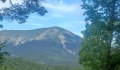 Tour Wandern Le Vernet - LE VERNET . COL DU MAL D HIVER . COL DU LABOURET . O L M  - Photo 14