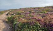 Excursión Senderismo Plévenon - Cap Fréhel et Fort la Latte 5.7.23 - Photo 12