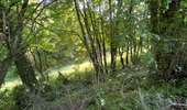 Trail Walking Soignies - Thieusies Rando des châteaux et moulins - Photo 13