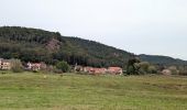 Tocht Paardrijden Schönau (Pfalz) - suuntoapp-HorsebackRiding-2024-09-29T07-15-12Z - Photo 7