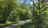 Trail Walking Mettet - Bossiere St Gérard 010621 - Photo 3