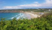 Trail Walking Plogoff - 2019 06 12 Loc'h Baie des Trépassés par Pointe du Raz - Photo 7