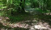 Tour Elektrofahrrad Saint-Clément - sortie vtt 10082022 Roville aux chênes  - Photo 3