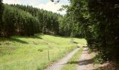 Trail On foot Friedrichroda - Heuberghaus (Naturlehrpfad) - Photo 10