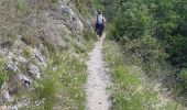 Trail Walking Die - Col de Bergu  - Photo 7