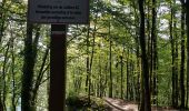 Tocht Mountainbike Bouillon - 8 km VTT d'exploration départ de Rochehaut  - Photo 1