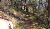Trail Walking Saint-Vallier-de-Thiey - montagne de Thiey-forêt de Nans-19-04-23 - Photo 4