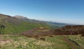 Tour Wandern Chambon-sur-Lac - vallée de chaudefour - Photo 6