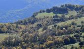 Percorso Marcia Venza - Col de Vence - Village des Idôles - Puy de Tourettes - Pic des Courmettes - Tourettes sur Loup - Photo 6