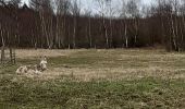 Tour Wandern Theux - vertbuisson . chefna . porallee  . éolienne bronrome . vertbuisson - Photo 6