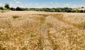 Trail Walking Saint-Derrien - St-Derrien randonnée vers Moulin de Lansolot - Photo 6