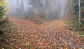 Tour Zu Fuß Greifensee - Greifensee - Maur Schifflände - Photo 6