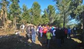 Percorso Marcia Les Arcs-sur-Argens - fond du broc. Roseline  - Photo 3