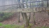 Tour Wandern Nassogne - Vers les bisons - Photo 16