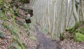 Trail Walking Yvoir - BOUCLE Moyenne distance - Photo 13